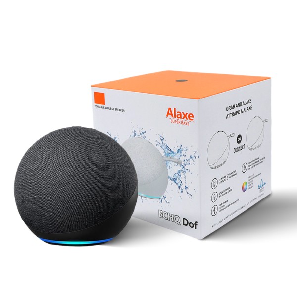 Bluetooth Speaker Factory - Alexa Echo Dot Portable Speakers