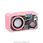 Bluetooth Speaker Manufacturer - LED Lights Transparent Casing Speaker