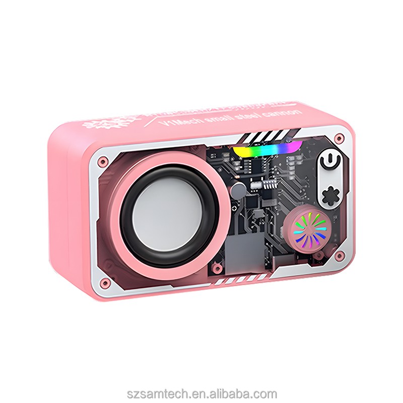 Bluetooth Speaker Manufacturer - LED Lights Transparent Casing Speaker