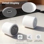 Portable Speaker Factory - TWS 360-degree Omnidirectional Sound