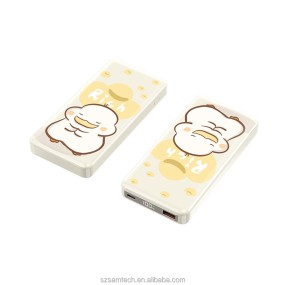 Power Bank Factory - 10000mAh Slim Power Bank 2 Outputs