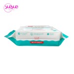 Wet Wipes Supplier - Eco-Friendly Biodegradable