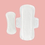 Panty Liners Supplier - OEM Biodegradable Organic