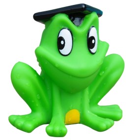 Rubber Frogs Toys Manufacturer - Squeaky Bathing Toys