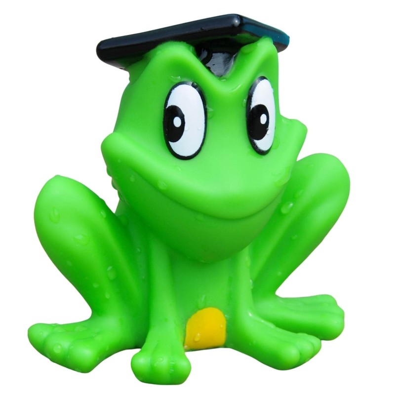 Frog Toys Factory - Wholesale Rubber Squeaky