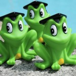 Rubber Frogs Toys Manufacturer - Squeaky Bathing Toys
