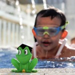 Rubber Frogs Toys Manufacturer - Squeaky Bathing Toys
