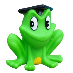 Frog Bath Toys Supplier - OEM Logo Printed