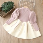 Toddler Princess Dress Manufacturer - Party Long Sleeves