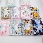 Minky Dot Blanket Factory - Wholesale Super Soft