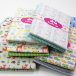 Newborn Bedding Set Factory - 2pcs Flannel Sheet