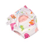 Baby Training Pants Factory - Custom Reusable Cotton