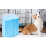 Dog Urine Pads Factory - Wholesale Extra-large Eco Friendly