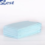 Anti-Urine Pad Manufacturer - Customizable 60x90cm Blue