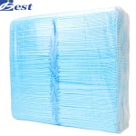Anti-Urine Pad Manufacturer - Customizable 60x90cm Blue