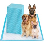 Training Pad Manufacturer - Promotion Fun Style Printed