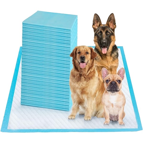 Training Pad Manufacturer - Promotion Fun Style Printed