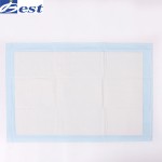 Anti-Urine Pad Manufacturer - Customizable 60x90cm Blue
