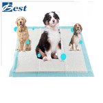 Pet Training Pad Factory - Extra Large 100 Count Puppy