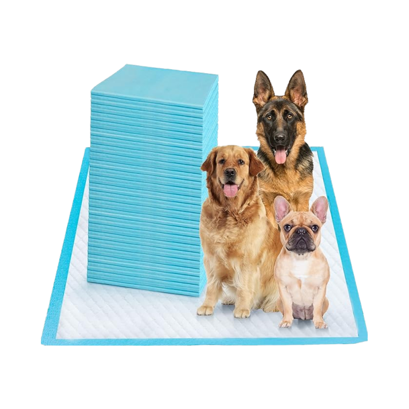 Dog Urine Pads Factory - Wholesale Extra-large Eco Friendly
