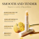 Oem素食软滋润光泽治疗唇膏私人标签自定义标志自然50色盒棒女性润唇膏
