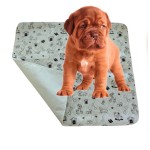 Adult Diaper Supplier - Free Sample Reusable Training