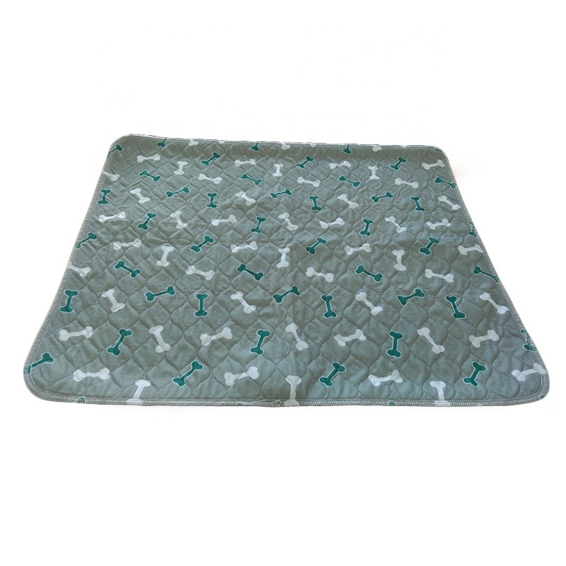 Training Pads Manufacturer - High Quality Non-Slip Waterproof