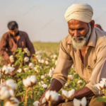 Baby Onesie Manufacturer - Pima Cotton Printed Crawling Suit