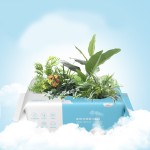 Baby Cotton Tissues Manufacturer - Disposable Spa Reusable Roll