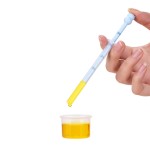 Feeding Bowl Supplier - New Arrival BPA Free Suction