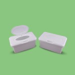 Baby Wipes Box Supplier - China Manufacturer Plastic Case