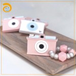 Pacifier Clip Manufacturer - Rainbow Wooden Beech Silicone