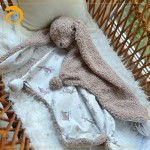 Baby Pacifier Supplier - Plush Bunny Soothing Teething Towel
