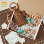 Pacifier Chain Factory - BPA Free Silicone Wooden Set
