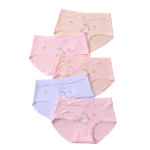 Unisex Underwear Manufacturer - 100% Cotton Quick Dry
