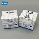 Dry Wipes Manufacturer - Customizable Baby Facial Towel
