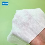 Hair Dye Wipes Supplier - Custom Stain Remover Cleaning