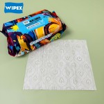 Feminine Wipes Factory - Organic Biodegradable Flip-Top