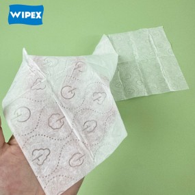 Feminine Wipes Factory - Organic Biodegradable Flip-Top