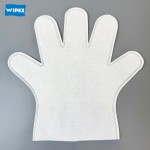 Pet Gloves Supplier - OEM Disposable Grooming Wipes