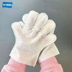 Pet Gloves Supplier - OEM Disposable Grooming Wipes