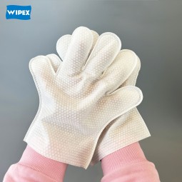 Pet Gloves Supplier - OEM Disposable Grooming Wipes