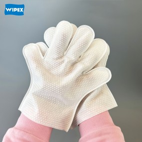 Pet Gloves Supplier - OEM Disposable Grooming Wipes
