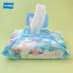 Face Cleaning Wipes Manufacturer - Summer Outdoor Mint