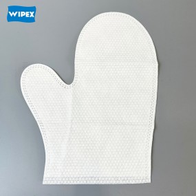 Pet Gloves Manufacturer - Custom Logo Disposable Grooming