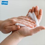 Baby Wipes Factory - Non-Woven Eco-Friendly Wet Hands