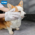 Pet Gloves Supplier - OEM Disposable Grooming Wipes