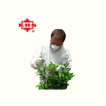 Disposable Product Manufacturer - Hygienic Non-Filler PP