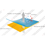 Disposable Sheet Supplier - Medical Bed Protection