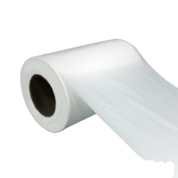 Disposable Product Factory - Hygienic PP Film Roll